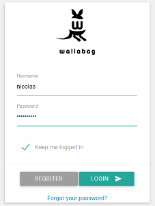 Login form